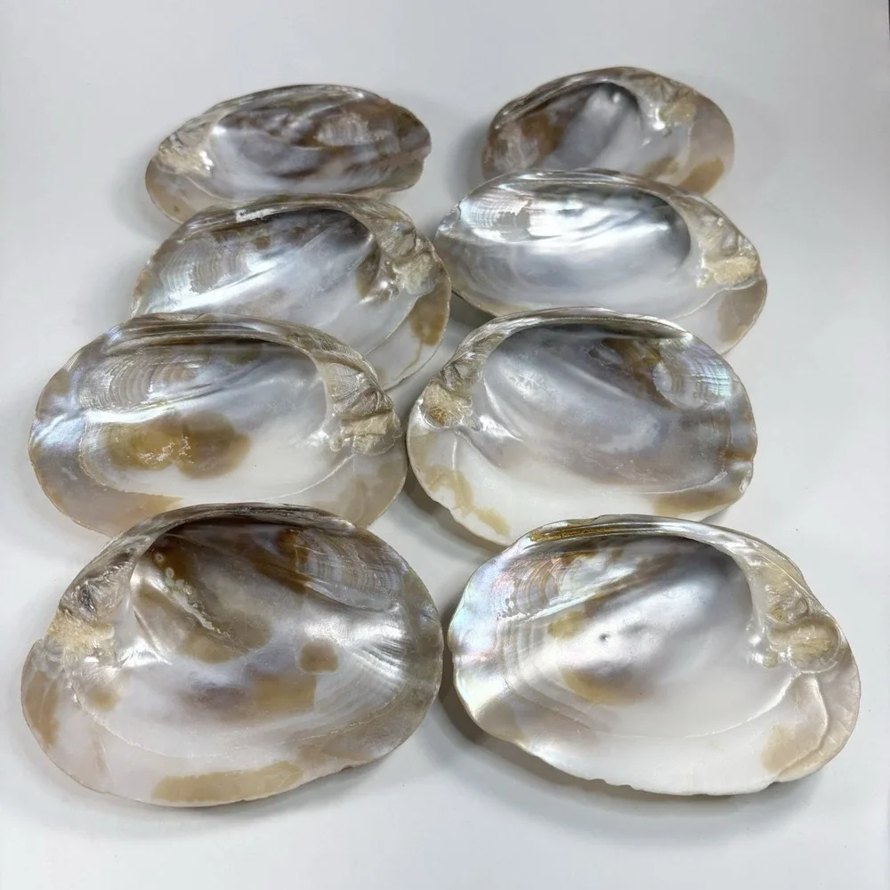 Vtg‎ Mother Of Pearl Seafood Cocktail Shells Set Of 8